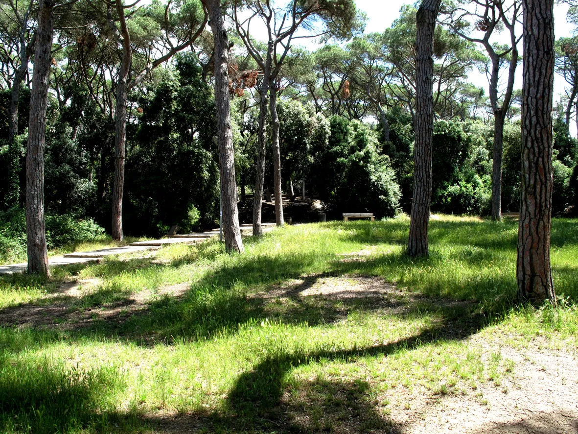 Parque Collserola, Barcelona