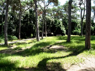 Paseo por Collserola