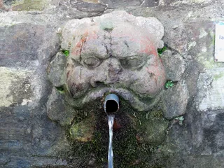 La font de la Budellera