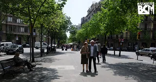 Rambla Catalunya, jirafa Coqueta y toro Pensador | Barcelona